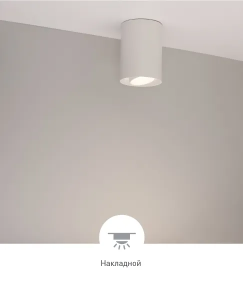 Фото #4 товара FOCUS