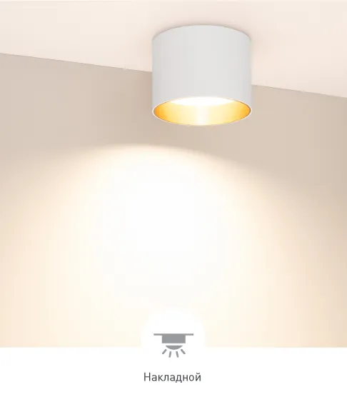 Фото #1 товара BISCOTTO