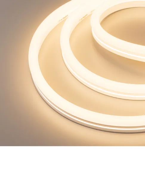 Фото #3 товара MOONLIGHT 12x24 230V