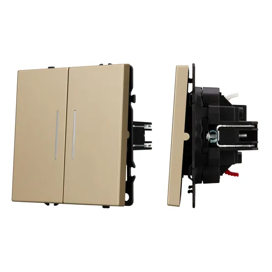 Фото #1 товара Механизм выключателя двухклавишный непроходной LED SWT-NOBE-MK02-SFPL-L-GD (230V, 10A) (Arlight, -)