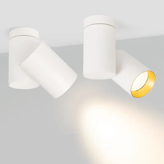 Фото #2 товара Светильник SP-POLO-SURFACE-TURN-R85-15W Warm3000 (WH-GD, 40 deg) (Arlight, IP20 Металл, 3 года)