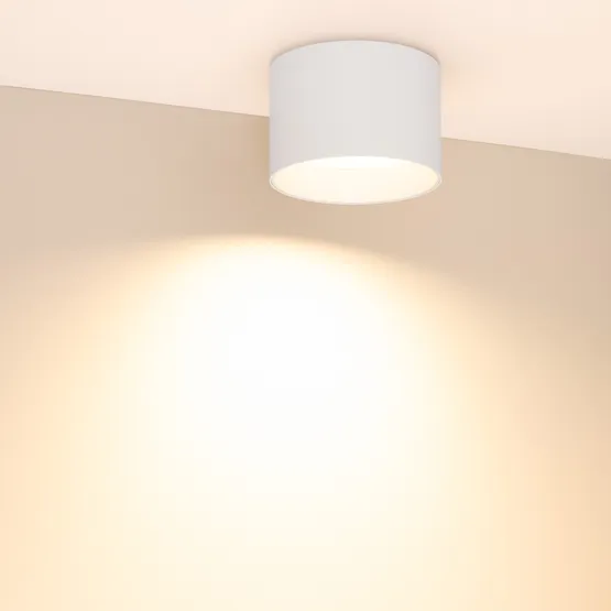 Фото #3 товара Светильник SP-BISCOTTO-R120-12W Warm3300-MIX (WH, 80 deg, 230V) (Arlight, IP54 Металл, 5 лет)