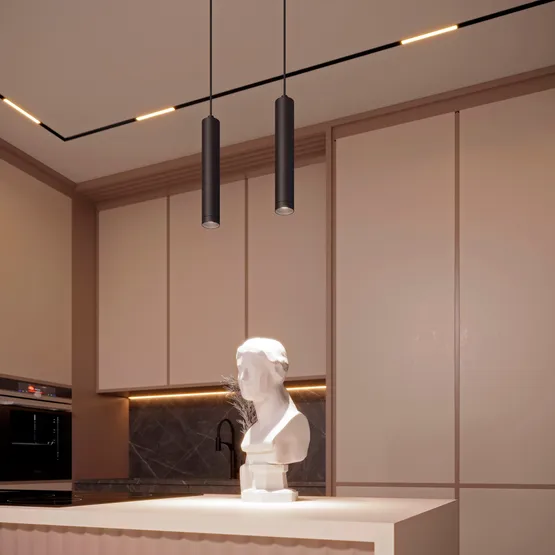 Фото #4 товара Светильник MAG-ORIENT-FLAT-L690-24W Day4000 (BK, 100 deg, 48V) (Arlight, IP20 Металл, 5 лет)