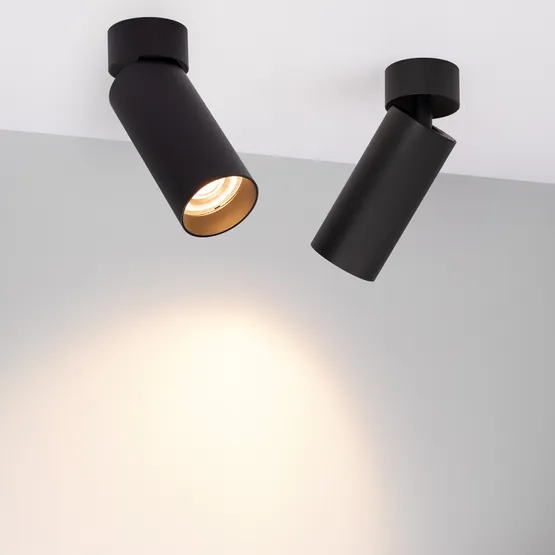 Фото #2 товара Светильник SP-GABI-SURFACE-FLAP-R60-12W Warm3000 (BK, 36 deg, 230V) (Arlight, IP40 Металл, 5 лет)