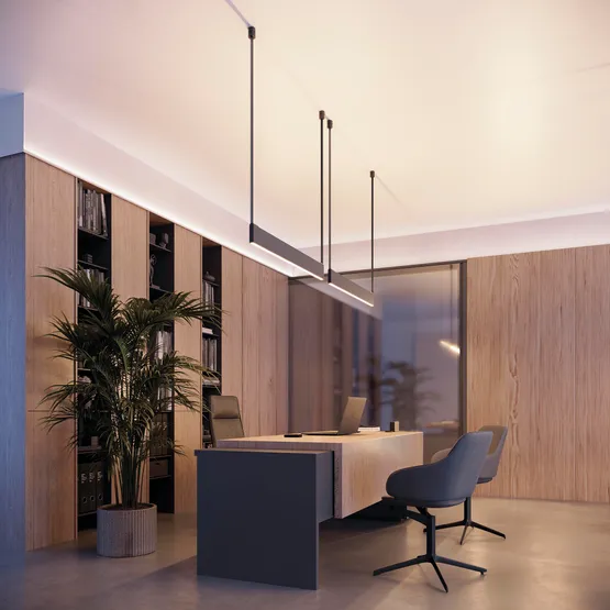 Фото #10 товара Профиль SL-LINE-25100-DUAL-2500 BLACK (Arlight, Алюминий)