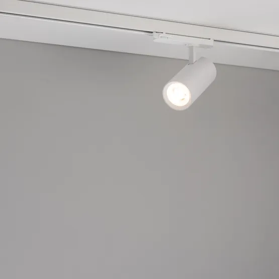 Фото #2 товара Светильник LGD-GERA-4TR-R74-20W Warm3000 (WH, 55 deg, 230V) (Arlight, IP20 Металл, 5 лет)