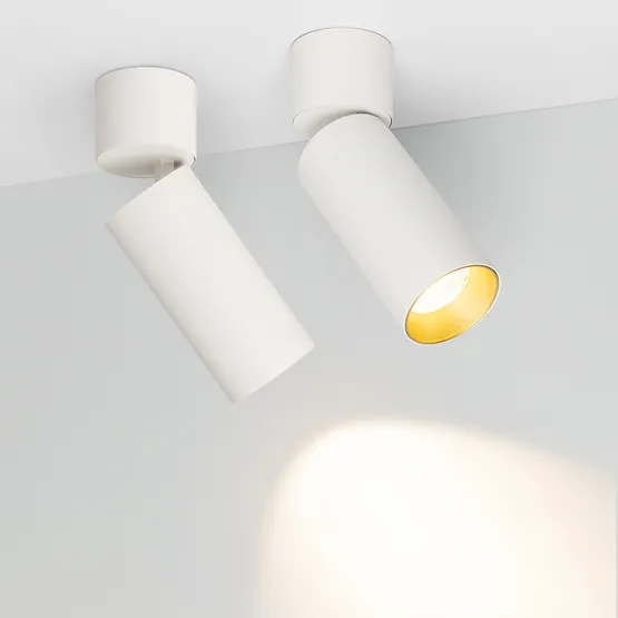 Фото #3 товара Светильник SP-POLO-SURFACE-FLAP-R65-8W White5000 (WH-GD, 40 deg) (Arlight, IP20 Металл, 3 года)