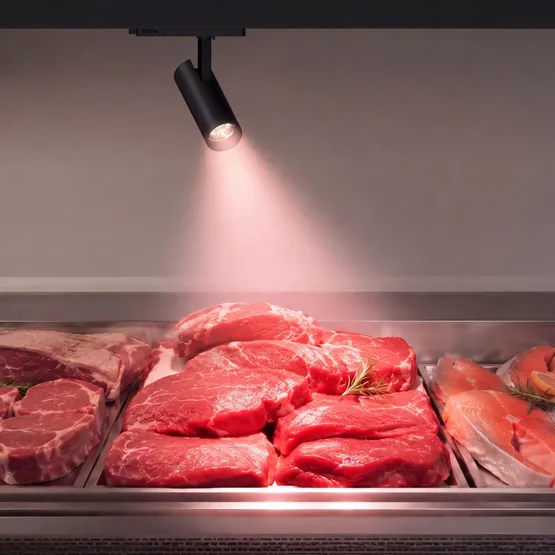 Фото #2 товара Светильник LGD-GERA-4TR-R90-30W Warm SP2900-Meat (Белый, 15 deg, 230V) (Arlight, IP20 Металл, 5 лет)