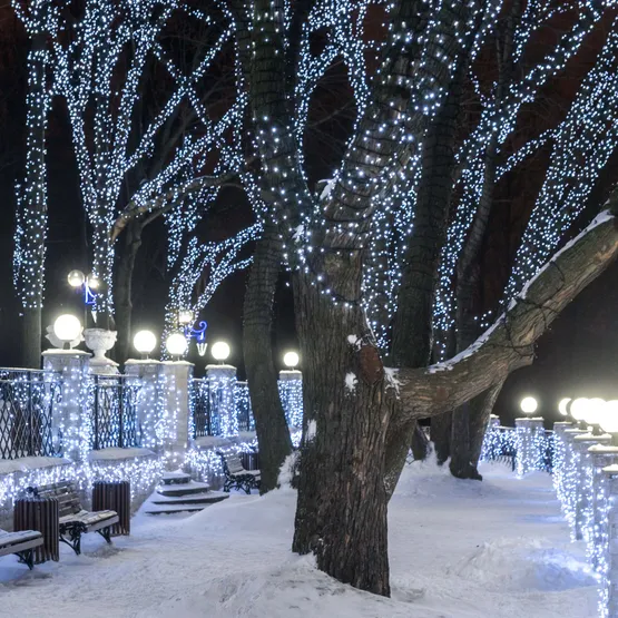 Фото #3 товара Светодиодная гирлянда ARD-STRING-CLASSIC-10000-BLACK-100LED-MILK-STD White (230V, 7W) (Ardecoled, IP65)