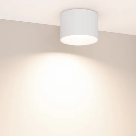 Фото #2 товара Светильник SP-BISCOTTO-R120-12W Warm3300-MIX (WH, 80 deg, 230V) (Arlight, IP54 Металл, 5 лет)