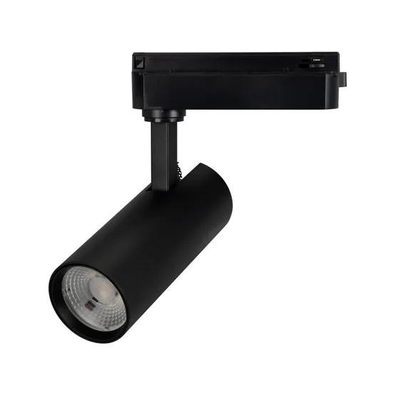 Фото #1 товара Светильник LGD-GERA-2TR-R55-10W Day4000 (BK, 55 deg, 230V) (Arlight, IP20 Металл, 5 лет)