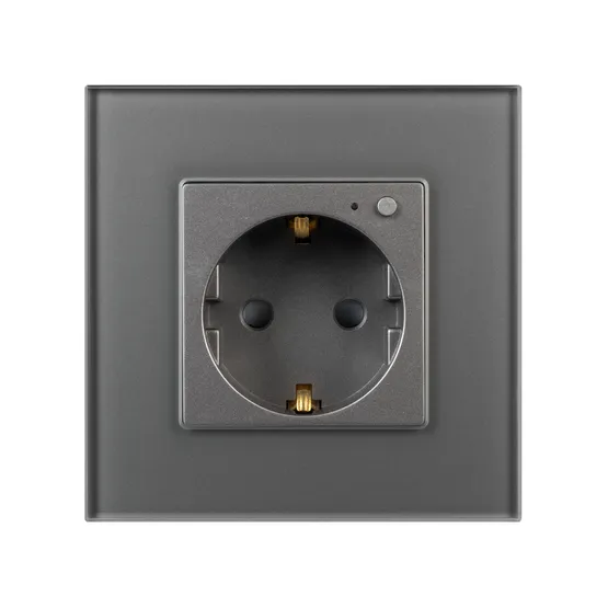 Фото #2 товара Розетка электрическая с Zigbee управлением SCT-OMALI-EUZB1-PL-GR (240V, 16A, Zigbee) (Arlight, -)