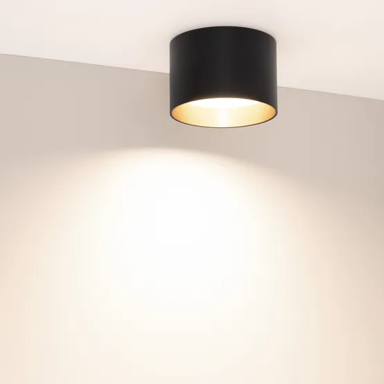 Фото #2 товара Светильник SP-BISCOTTO-R120-12W Warm3300-MIX (BK-GD, 80 deg, 230V) (Arlight, IP54 Металл, 5 лет)