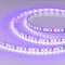 Минифото #1 товара Светодиодная лента RT-A120-8mm 12V UV400 (9.6 W/m, IP20, 2835, 5m) (Arlight, Открытый)