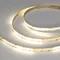 Минифото #1 товара Светодиодная лента SPI-COB-X378-12mm 24V Day4000-PX21-BPT (8 W/m, IP20, 5m) (Arlight, бегущий огонь)