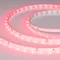 Минифото #1 товара Светодиодная лента RT-A60-8mm 24V Ruby (4.8 W/m, IP20, 5m) (Arlight, -)