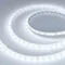 Минифото #1 товара Светодиодная лента герметичная RTW-SE-B60-10mm 24V White6000 (14.4 W/m, IP65, 5m) (Arlight, -)